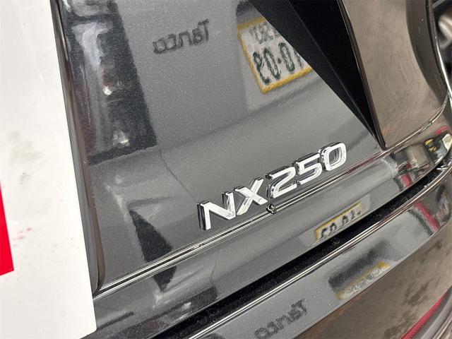 NX NX250 バージョンL ドライブレコーダー 全周囲カメラ クリアランスソナー オートクルーズコントロール レーンアシスト パワーシート 衝突被害軽減システム サンルーフ フルセグナビ オートマチックハイビーム オートライト(24枚目)