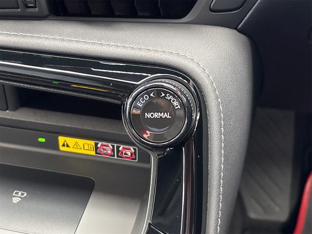 NX NX250 バージョンL ドライブレコーダー 全周囲カメラ クリアランスソナー オートクルーズコントロール レーンアシスト パワーシート 衝突被害軽減システム サンルーフ フルセグナビ オートマチックハイビーム オートライト(49枚目)