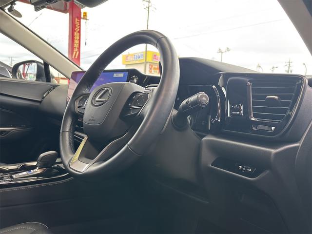 NX NX250 バージョンL ドライブレコーダー 全周囲カメラ クリアランスソナー オートクルーズコントロール レーンアシスト パワーシート 衝突被害軽減システム サンルーフ フルセグナビ オートマチックハイビーム オートライト(60枚目)