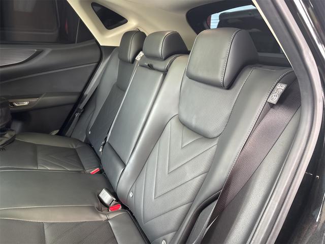 NX NX250 バージョンL ドライブレコーダー 全周囲カメラ クリアランスソナー オートクルーズコントロール レーンアシスト パワーシート 衝突被害軽減システム サンルーフ フルセグナビ オートマチックハイビーム オートライト(73枚目)