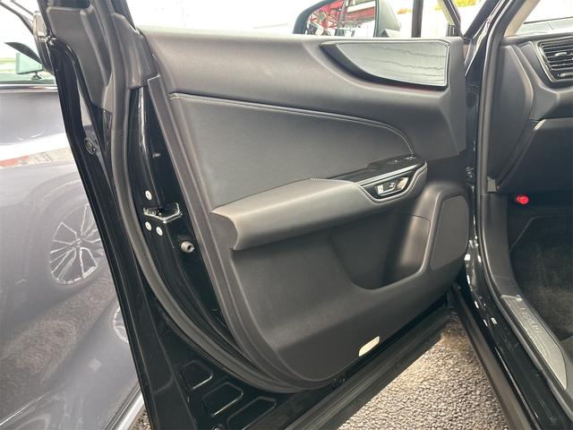 NX NX250 バージョンL ドライブレコーダー 全周囲カメラ クリアランスソナー オートクルーズコントロール レーンアシスト パワーシート 衝突被害軽減システム サンルーフ フルセグナビ オートマチックハイビーム オートライト(74枚目)