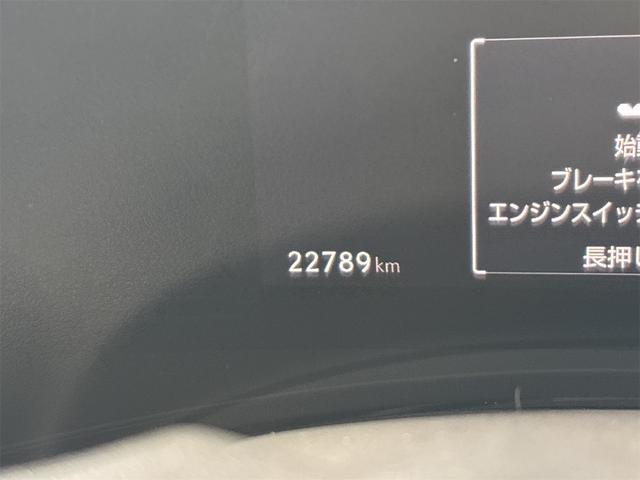 NX NX250 バージョンL ドライブレコーダー 全周囲カメラ クリアランスソナー オートクルーズコントロール レーンアシスト パワーシート 衝突被害軽減システム サンルーフ フルセグナビ オートマチックハイビーム オートライト(80枚目)