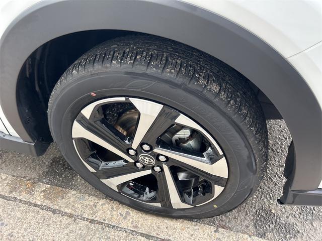 ライズ Ｚ　フルセグＴＶナビ　バックカメラ　クルーズコントロール　ドライブレコーダー　シートヒーター　プッシュスタート　ＥＴＣ　ＬＥＤヘッドライト　クリアランスセンサー（11枚目）