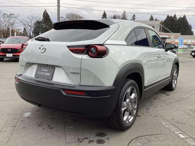 ＭＸ－３０ ＢＡＳＩＣ　２ＷＤ（5枚目）