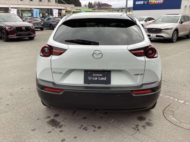 ＭＸ－３０ ＢＡＳＩＣ　２ＷＤ（6枚目）