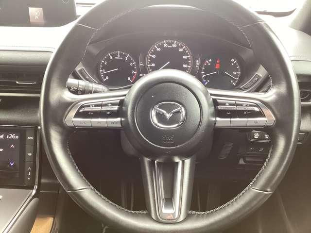 ＭＸ－３０ ＢＡＳＩＣ　２ＷＤ（20枚目）