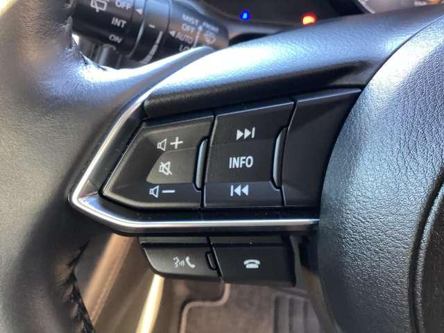 ＣＸ－３ １．５　１５Ｓ　アーバン　ドレッサー（12枚目）