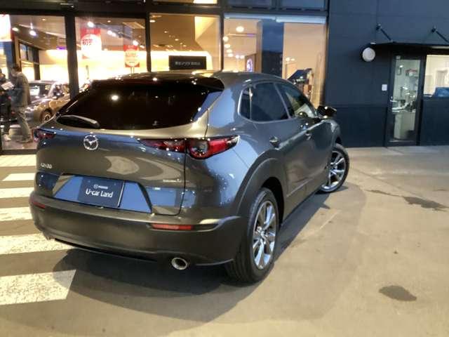 CX-30 2.0 X Lパッケージ ブラックレザー/SDナビ(6枚目)