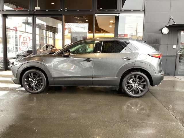 ＣＸ－３０ １．８　ＸＤ　レトロ　スポーツ　エディション　ディーゼルター（12枚目）