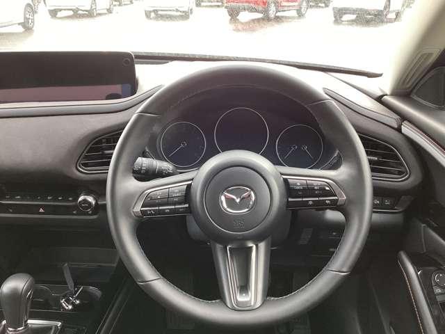 �X�e�A�����O�E�ɂ͉^�]�x���n�V�X�e�����܂Ƃ܂��Ă���A�^�]���̑���̖��������Ȃ����Ă���܂��B