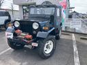 MITSUBISHI JEEP