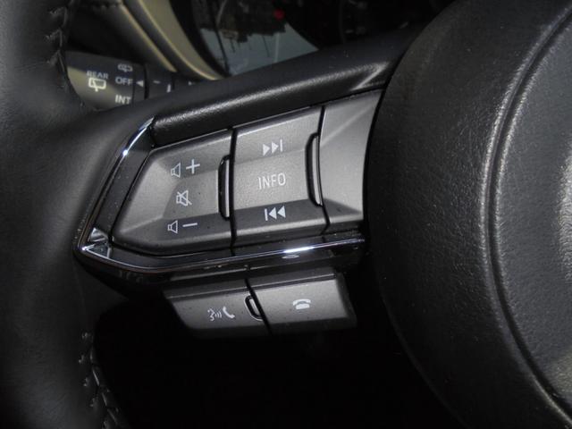 ＣＸ－５ ＸＤ　フィールドジャーニー　３６０°ビューモニター　ＢＯＳＥサウンド　サンルーフ　純正ナビ　フルセグ　ＥＴＣ（46枚目）