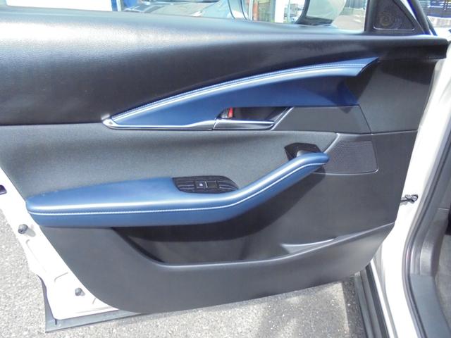 ＣＸ－３０ ＸＤ　プロアクティブ　ツーリングセレクション　３６０°ビューモニター　純正ナビ　フルセグ　ＥＴＣ　ワイヤレス充電（21枚目）