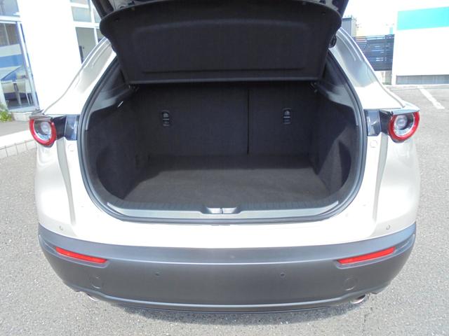 ＣＸ－３０ ＸＤ　プロアクティブ　ツーリングセレクション　３６０°ビューモニター　純正ナビ　フルセグ　ＥＴＣ　ワイヤレス充電（27枚目）