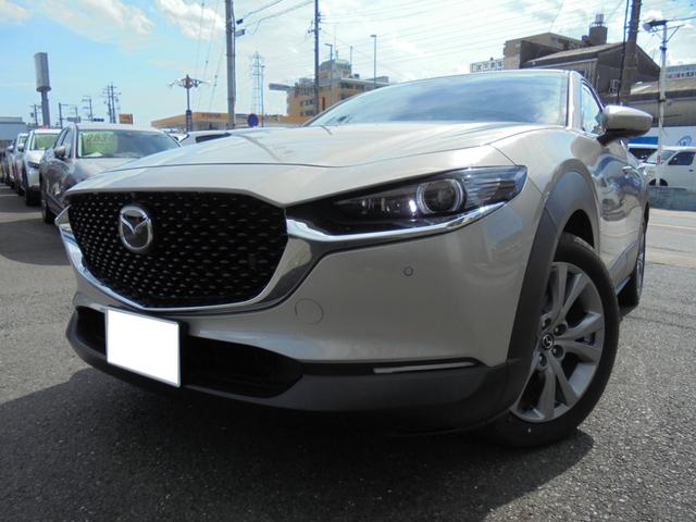 ＣＸ－３０ ＸＤ　プロアクティブ　ツーリングセレクション　３６０°ビューモニター　純正ナビ　フルセグ　ＥＴＣ　ワイヤレス充電（60枚目）