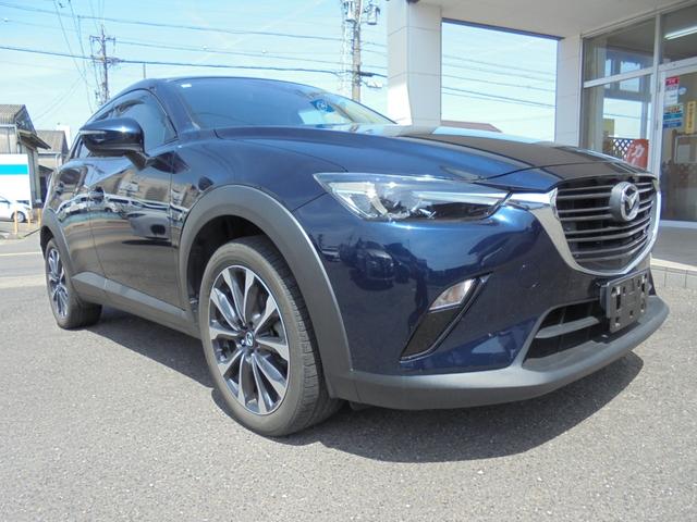 CX-3 20S 純正ナビ フルセグ Bカメラ ETC 前後ドラレコ(8枚目)