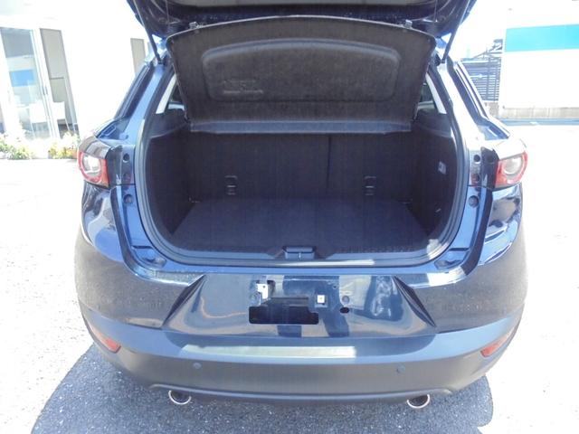 CX-3 20S 純正ナビ フルセグ Bカメラ ETC 前後ドラレコ(26枚目)
