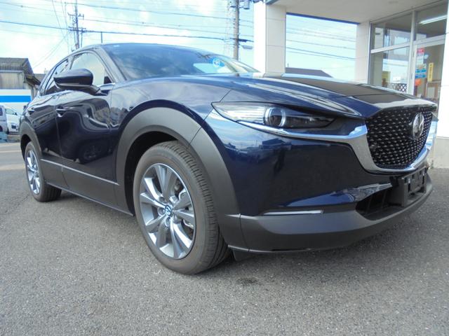 ＣＸ－３０ ＸＤ　プロアクティブ　ツーリングセレクション　３６０°ビューモニター　純正ナビ　フルセグ　ＥＴＣ　ワイヤレス充電（8枚目）