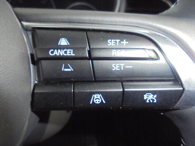 ＣＸ－３０ ＸＤ　プロアクティブ　ツーリングセレクション　３６０°ビューモニター　純正ナビ　フルセグ　ＥＴＣ　ワイヤレス充電（47枚目）