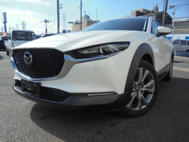 ＣＸ－３０ ２０Ｓ　ツーリング　３６０°ビューモニター　純正ナビ　フルセグ　ＥＴＣ　ワイヤレス充電（60枚目）