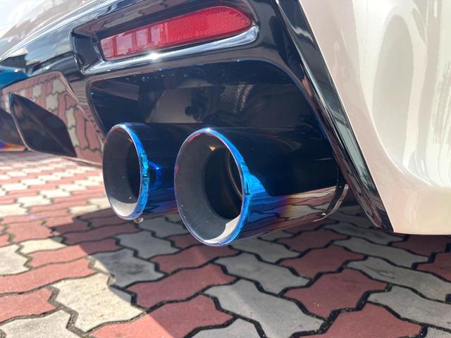 マークＸ ２５０Ｇ　Ｓパッケージ　Ｇ’ｓ　特別仕様　禁煙車　アルパインナビ　バックカメラ　純正１９インチＡＷ　レッドキャリパー　レッドチューニングサスペンション　カーボン調インパネ　革巻きステアリング　クルコン　マフラーカッター　ＥＴＣ（32枚目）