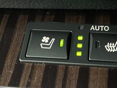 ڥȥ٥졼۲ƾäǤǮɤߤϥ᤯ޤäƥݥݥˡ鷺Ŭ˲ᤴޤ 5