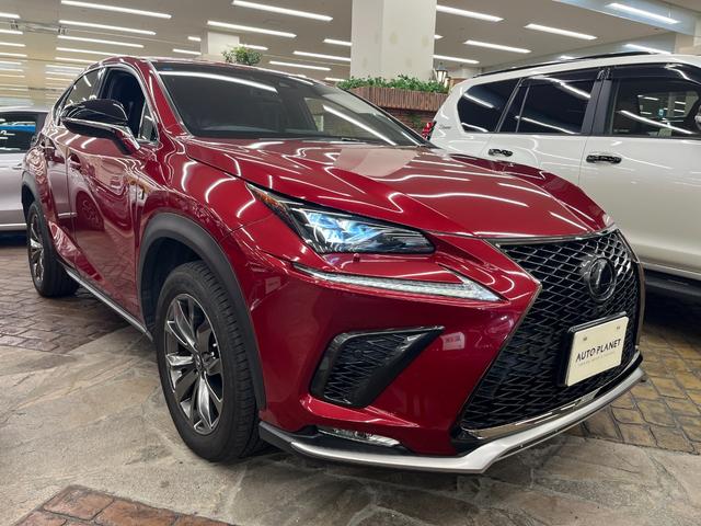 ＮＸ ＮＸ３００　Ｆスポーツ　革Ｓ／禁煙車／ＡＣＣ／衝突軽減Ｂ／ＨＤＤナビ／フルセグＴＶ／Ｂ＆３６０度カメラ／車線逸脱警告／シートＨ・Ｃ／Ｐシート／ＬＥＤヘッドライト／Ｐゲート／Ｂｌｕｅｔｏｏｔｈオーディオ／クリアランスソナー（65枚目）