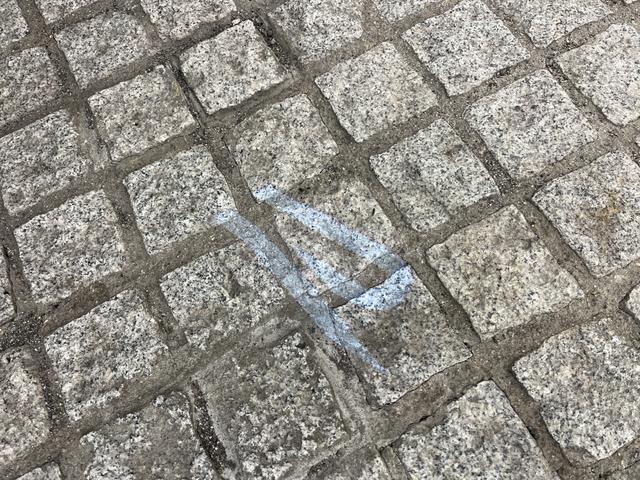 ティグアン R 革S/社外サスペンション/禁煙車/ACC/衝突軽減B/AppleCarplay/AndroidAuto/HDDナビ/フルセグTV/B&360度カメラ/シートH/Pシート/LEDヘッドライト/Pゲート(51枚目)