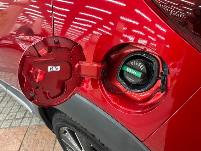 CX-3 XD ツーリング Lパッケージ 禁煙車/BOSEスピーカー/ACC/衝突軽減B/ハーフ革S/ナビ/フルセグTV/Bカメラ/車線逸脱警告/シートH/LEDヘッドライト/Bluetoothオーディオ/ヘッドアップディスプレイ/1年保証(48枚目)