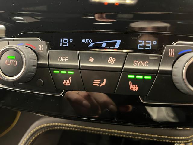 X2 xDrive 18d MスポーツX 禁煙車/ACC/衝突軽減B/ハーフ革S/HDDナビ/バックカメラ/車線逸脱警告/シートH/Pシート/LEDヘッドライト/Pゲート/Bluetoothオーディオ/クリアランスソナー/1年保証(38枚目)