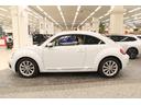 VOLKSWAGEN THE BEETLE