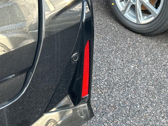 タント カスタムＲＳ（24枚目）