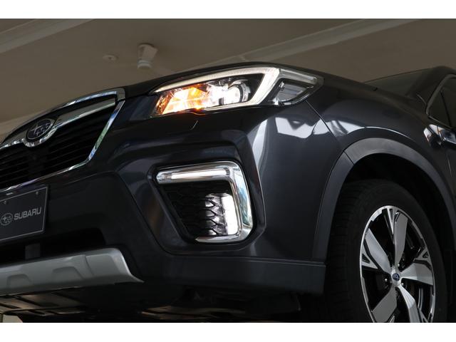 フォレスター アドバンス(25枚目)