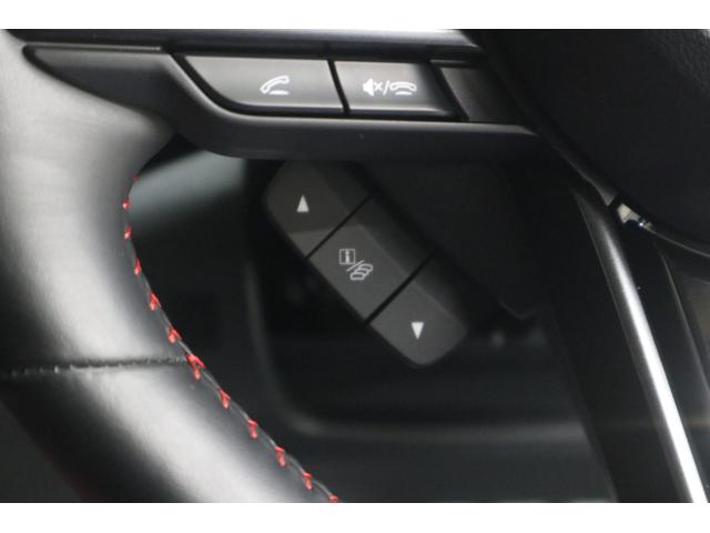 レヴォーグ ＳＴＩスポーツ　ＥＸ　元レンタカー　元レンタカー（34枚目）