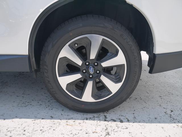 フォレスター Ｘ－ＢＲＥＡＫ　アイサイト　ナビ・ＥＴＣ・Ｒカメラ（32枚目）