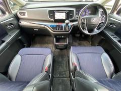 ǥå ֥롼ȡ襢˥С꡼桼衡ƥ֥졼ƥ֥ƥࡡޡȥ 0203428A30251201W002 2