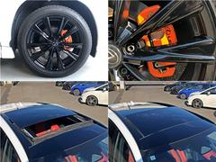 Σ Σأ衡ƥݡġԣңĥե륨ѥΥޥ롼ա֥å롼ե졼 0203428A30251207W003 3