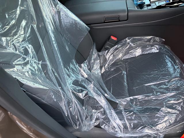 アルファードハイブリッド Ｚ　モデリスタエアロ　リアエンターシステム　パノラミックモニター　サンルーフ　ユニバーサルステップ　インナーミラー　シートメモリー　シートＡＣ　デジタルインナーミラー　ＥＴＣ２．０　ＨＤＭＩ（20枚目）