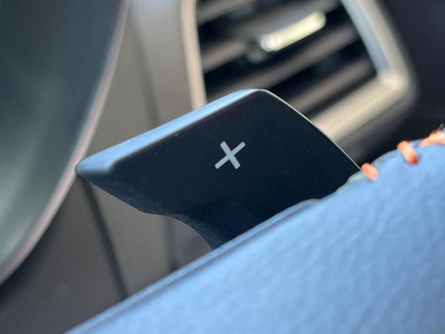 XV 2.0i-L アイサイト ルーフレール 禁煙車 純正SDナビ サイド&バックカメラ ドラレコ ETC コーナーセンサー LEDヘッドライト アクセスキー&プッシュスタート 純正革巻きステアリング 純正17インチアルミ(46枚目)