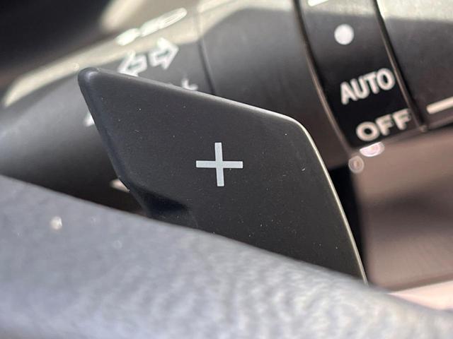 フォレスター S-リミテッド 後期D型 サンルーフ ルーフレール アドバンスドPKG 黒革 禁煙車 純正SDナビ バックカメラ ETC ドラレコ LEDヘッド シートヒーター パワーシート アダプティブクルーズ パドルシフト(53枚目)