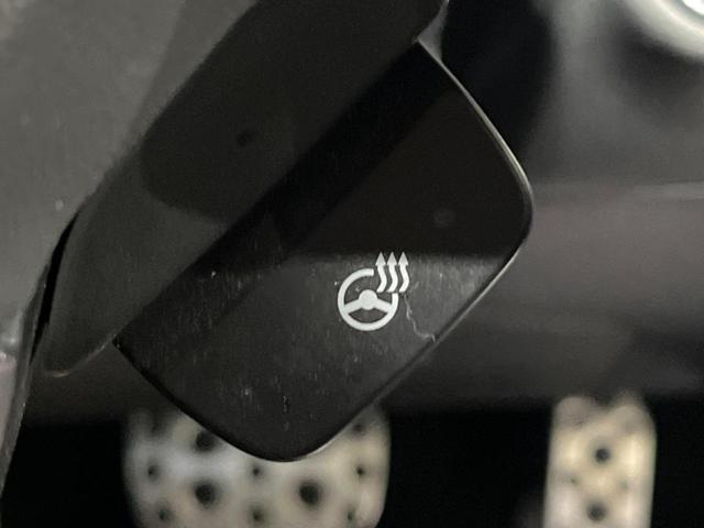 レガシィアウトバック リミテッド　Ｃ型　電動リアゲート　フリップダウンモニター　黒革　禁煙車　純正８型ナビ　バックカメラ　ＥＴＣ　純正１８インチアルミ　ステアリングヒーター　アダプティブクルーズコントロール　パワーシート（30枚目）