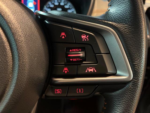 XV 2.0i-L アイサイト ルーフレール セイフティプラス LEDライナー ダイアトーン純正ナビ バックカメラ ETC ドラレコ LEDヘッド 純正17インチアルミ レーダークルーズ スマートキー パドルシフト(30枚目)