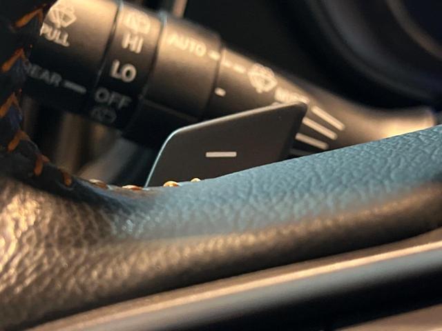 XV 2.0i-L アイサイト ルーフレール セイフティプラス LEDライナー ダイアトーン純正ナビ バックカメラ ETC ドラレコ LEDヘッド 純正17インチアルミ レーダークルーズ スマートキー パドルシフト(34枚目)