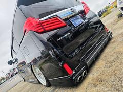 ե ӡåѥåե륨ǧСͥե륪ǥ 0203568A30251102W003 7