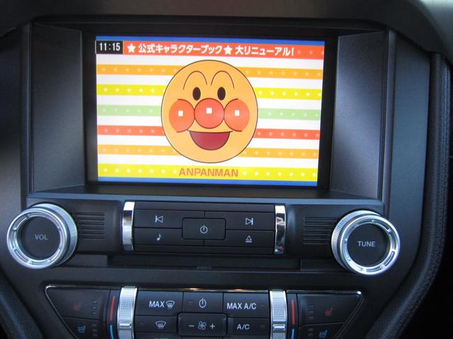 50イヤーズ エディション レザー ナビTV BカメラETC(16枚目)