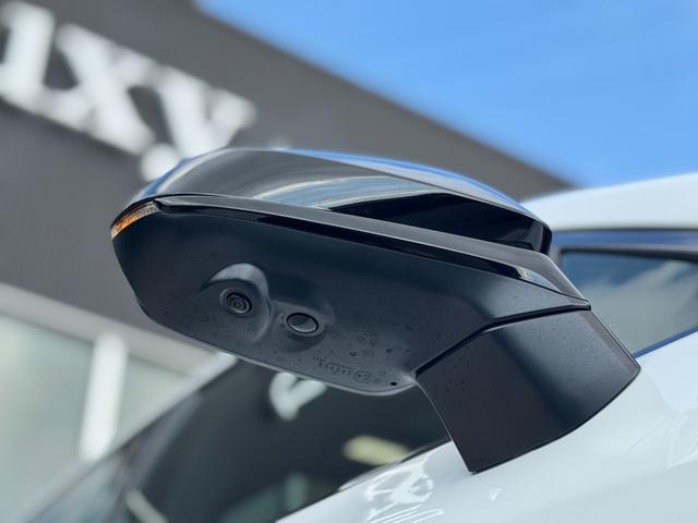 ＲＸ ＲＸ５００ｈ　Ｆスポーツパフォーマンス　パノラマルーフ　ルーフレール　輻射ヒーター　デジタルインナーミラー　３眼ＬＥＤヘッドライト　赤レザーシート　パノラミックビューモニター　ブラインドスポットモニター　１４インチディスプレイオーディオ（28枚目）