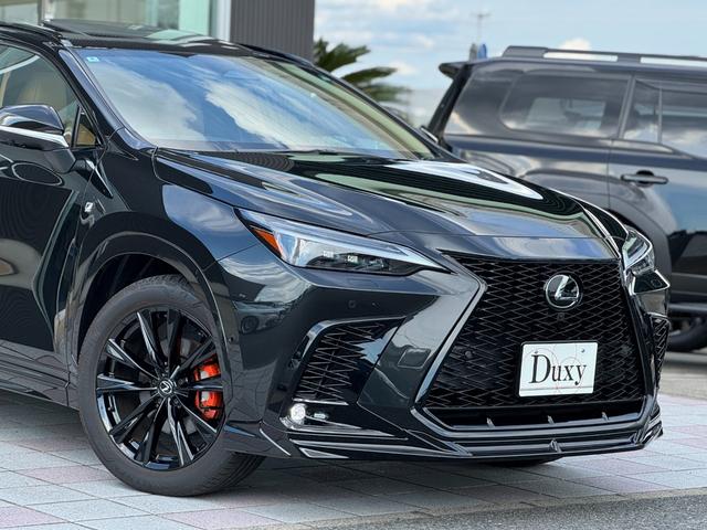 ＮＸ ＮＸ３５０ｈ　Ｆスポーツ　ＴＲＤエアロ（Ｆ／Ｓ／Ｒ／マフラー）　ムーンルーフ　ルーフレール　デジタルインナーミラー　オレンジキャリパー　３眼ＬＥＤヘッド　置くだけ充電　アドバンストパーク　ヘーゼルレザーシート　２０インチＡＷ（17枚目）