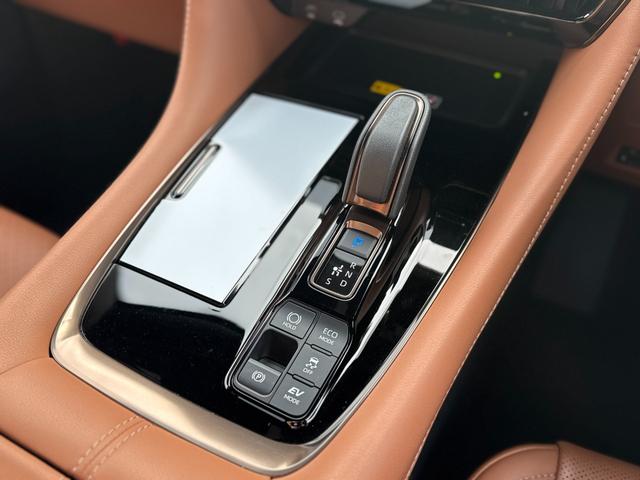 ヴェルファイアハイブリッド Ｚ　プレミア　１３．２型有機ＥＬ後席モニター　左右独立ムーンルーフ　デジタルインナーミラー　ブラウンレザーシート　トヨタチームメイトアドバンストパーク　カラーヘッドアップディスプレイ　パノラミックビューモニター（60枚目）