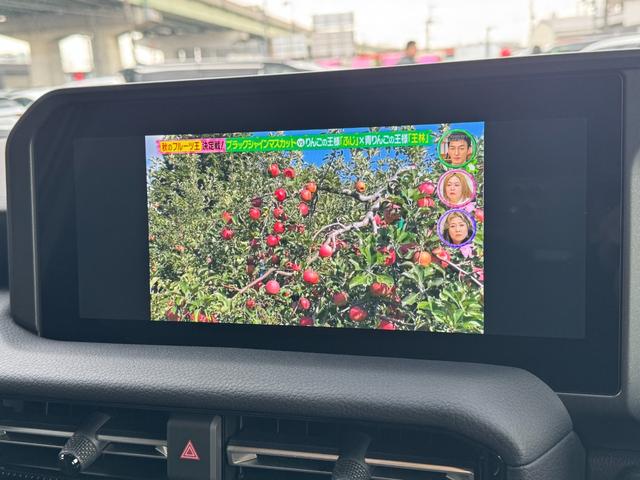 ランドクルーザー２５０ ＶＸ　モデリスタパッケージ　シグネチャーイルミ　オーバーフェンダー／フェンダー／リアステップガード　トヨタチームメイトアドバンストドライブ　ムーンルーフ　デジタルインナーミラー　パノラミックビューモニター（59枚目）