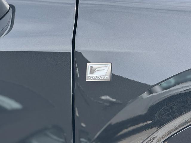 RX RX350 Fスポーツ パノラマルーフ 輻射ヒーター オレンジキャリパー デジタルインナーミラー 寒冷地仕様 ホワイトレザーシート 14インチディスプレイオーディオ パノラミックビューモニター ブラインドスポットモニター(28枚目)